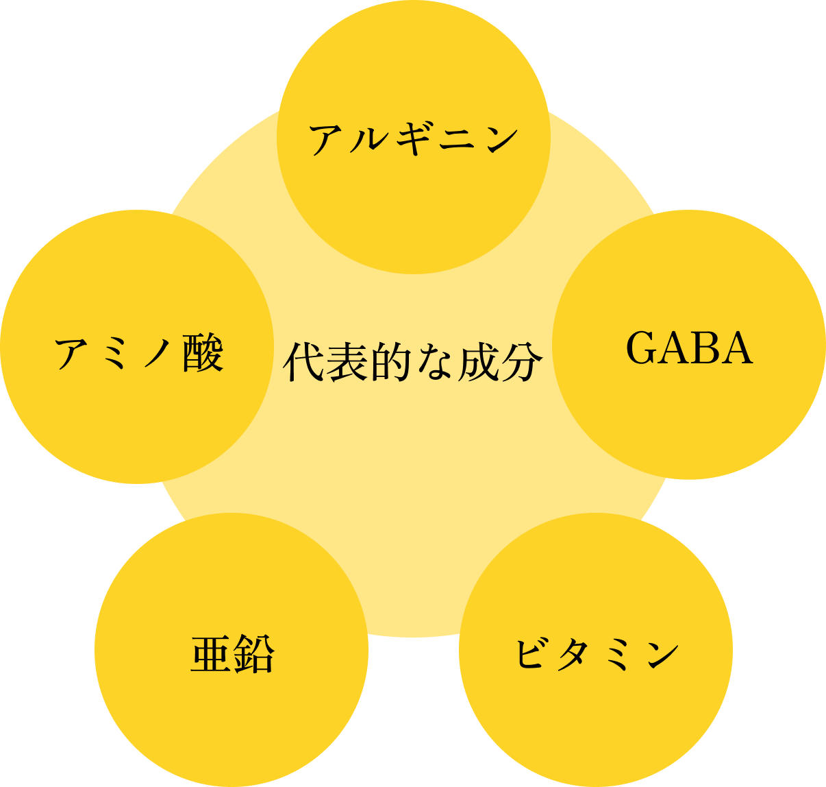 代表的な成分:アルギニン・gaba・ビタミン・亜鉛・アミノ酸